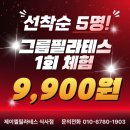 필라테스D | 식사동필라테스 가격보다 봐야 할 핵심 포인트!