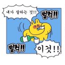 오징어바다회