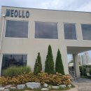 멀로(Meollo)