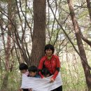 꿈나무유치원 이미지