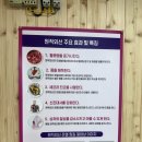 체온테라피