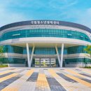 사하구 낙동남로1233번길 이미지