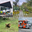 카페융가비 이미지