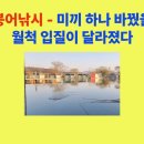 달월사계절 낚시터 이미지