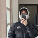 다영황 이미지