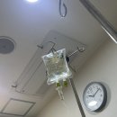 알레르기 | 하비갑개 고주파 수술, 피검사 알레르기 후기