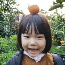 수산농장 이미지