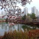 늘봄목장 이미지