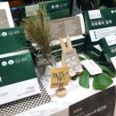평창청옥산천년초 | 평창 청옥산 천년초 영농조합법인 세택 메가쇼 참여했습니다 🌵