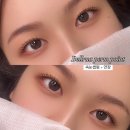 대안동 갤러리아 앞