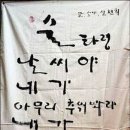 주태백