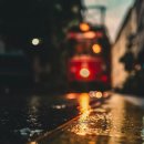 알짜배기 - 서구 거북로 104 | 알짜배기