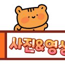 교동 감나무집 이미지