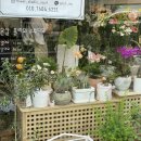 온실Flowerstudio