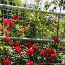 서소문역사공원 이미지