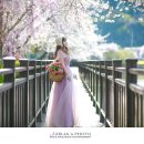 창녕 영산 만년교 이미지