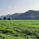 진월초등학교 이미지