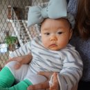 카페헬렌 네이버블로그