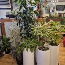 수원종합운동장 이미지