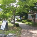 목포유달초등학교달리분교장 이미지