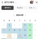 877 스테이 이미지
