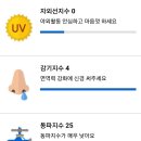 2023년 12월 22일 금요일, HeadlineNews 이미지