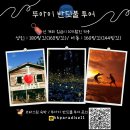 코타키나발루 가성비숙소, 시내에 있는 코타스윗 후기