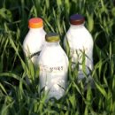 차원목장 이미지