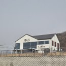 핀스커피 | [천안 구성동 카페] 다양한 베이커리가 있는 대형카페 '핀스커피'ㅣ💰 내돈내산 솔직 후기