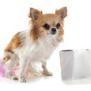 탄현동물병원 이미지