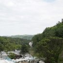 더빌리지캠핑장 이미지
