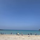 늘푸른민박 | 함덕해수욕장 제주도 제주시 해수욕장 가볼만한곳 산책코스