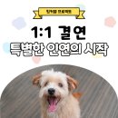 [중요 공지] 팅커벨 아이들과 일대일 매칭하는 후견 시스템을 소개합니다. 이미지