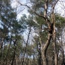 모악산마실길 2-1코스 이미지