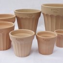 예쁜커피나무 이미지