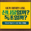 여로통신 정책브리핑