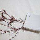 네모나무 민박 이미지