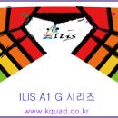 ILIS-A1G 시리즈......디지털 프린팅 카이트 이미지