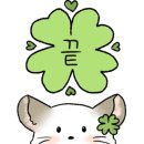 일일향 강남점