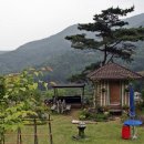 누리화원 - 성남시 분당구 새마을로 48 | 누리화원