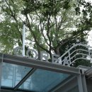 오도일 초상화 이미지