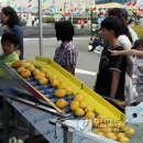 북삼친환경참외연구회 이미지