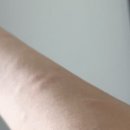 영운 상30호(비7) | 마음을 하나로 꿈의 끝까지