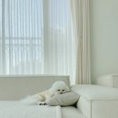 심바네의상실