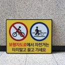 이륜자전차