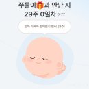 인천송빛초등학교 | 32주차/강화도 태교여행/아기 선물 추천/유니미니스튜디오/단백뇨 검사/임신후기 어지러움증/아기책장추천