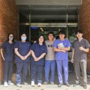 비글구조네트워크 동물메디컬센터 이미지