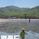 하나개해수욕장 -방갈로 뒤 | 영종도 하나개해수욕장 조개체험｜아이랑 갯벌체험 준비물, 난이도 후기, 팁