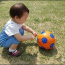 고운이네 한옥민박 이미지