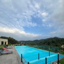 우리 두리 펜션 | 애견 수영장, 대형 애견 운동장 펜션 비비숑숑 솔직후기/애견 독채펜션/애견풀빌라/애견실내수영장/애견...